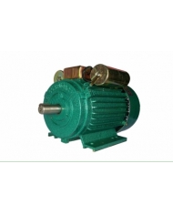 Động cơ 1.1kw  Trường Mạnh